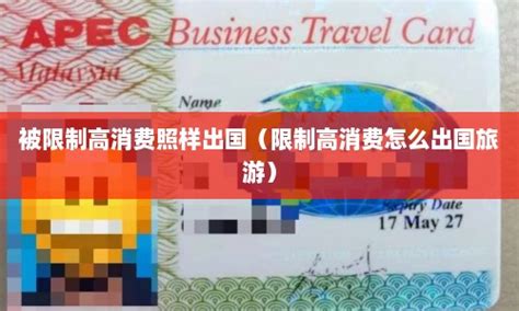 被限制高消费照样出国（限制高消费怎么出国旅游） - 马来西亚签证