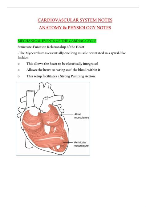 Image result for Cardiovascular System and Function Notes