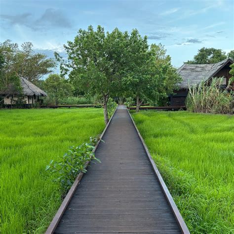 JETWING VIL UYANA, A LUXURY RESERVE (Sigiriya) - Hotel Reviews, Photos ...