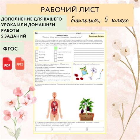 Рабочий лист “Понятие об организме. Организм - единое целое”, урок ...