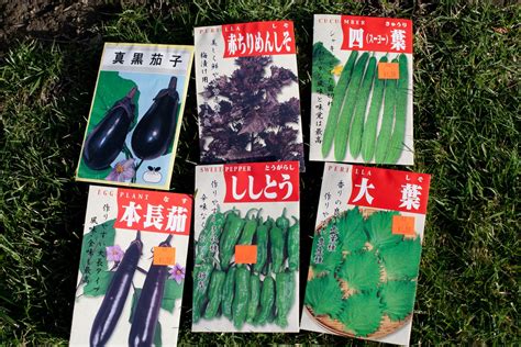 Locally Grown Produce 的图像结果