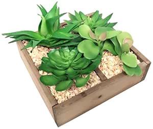 Buy Angel Isabella Artificial Succulents in Wood Planter Online at Low ...