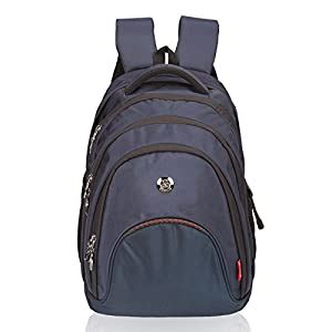 Buy COSMUS Ambition Laptop Backpack (Blue) at Amazon.in