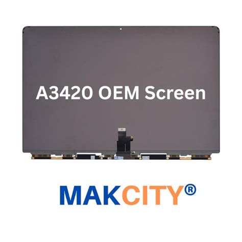 MacBook Air M4 A3420 Screen Replacement Cost in Delhi