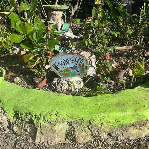 BARNEY'S BOTANICAL GARDEN JAMAICA (2026) All You Need to Know BEFORE ...