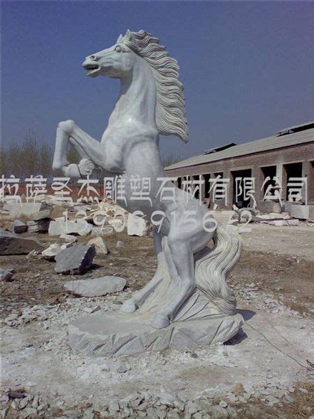 雕塑 - 拉萨圣杰雕塑石材有限公司