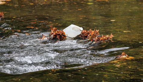 Study finds microplastics even in Pa.’s cleanest waters, including ...