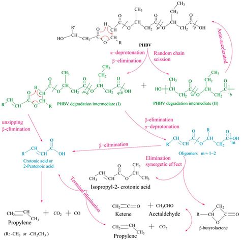 Modification and Potential Application of Short-Chain-Length ...