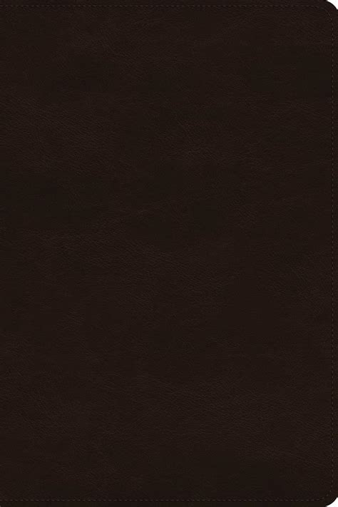 Buy ESV Gospel Transformation Study Bible: Christ in All of Scripture ...