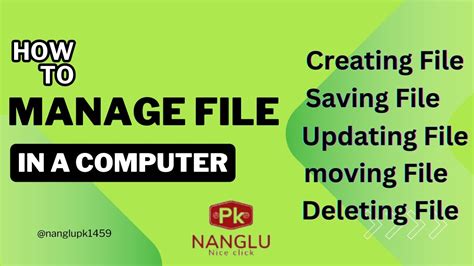 Computer File Management Problem 的图像结果