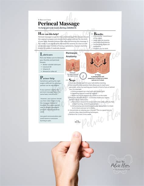 Digital Download* Perineal Massage Instruction Handout Flyer- Pregnanc ...