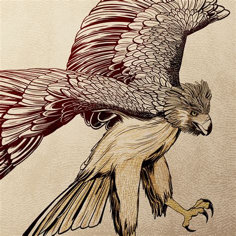Philippine Endangered Species on Behance