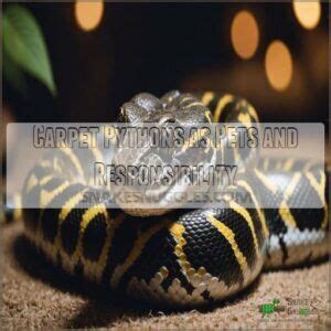 Image result for Holding Carpet Python