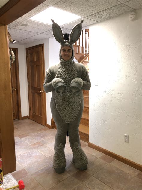 Donkey shrek costume – Artofit
