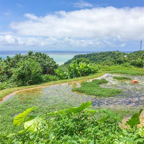 KAKINOHANAHIJA (2025) All You Need to Know BEFORE You Go (with Photos ...