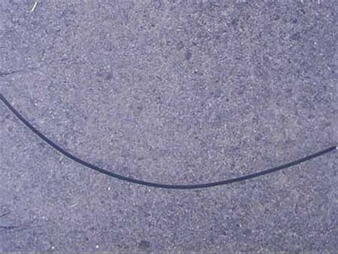 Image result for Pro Key Control Joint