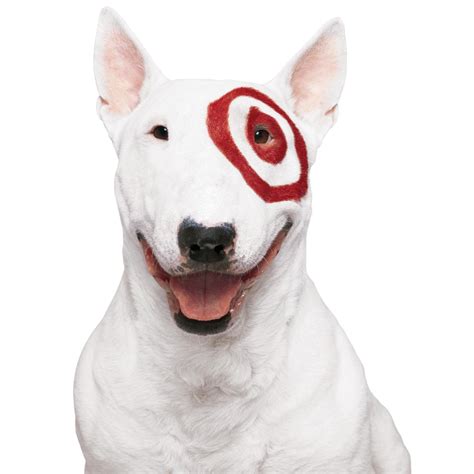 Target Australia Pet Accessories at Alyssa Corrie blog
