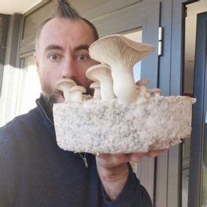 Gold Coast Fungal Wizardry for Beginners, Parkwood Arundel Community ...