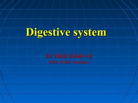 Image result for Digestive System Lecture