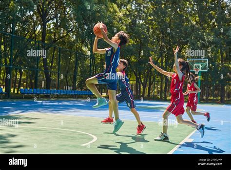 Basketball Kids 的图像结果