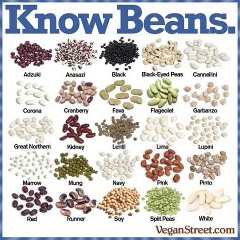15 types of beans — and how to cook with them – Artofit