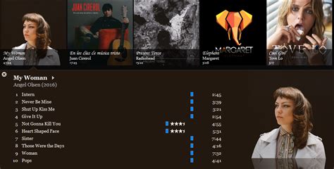 Image result for How to Customize MusicBee Layout