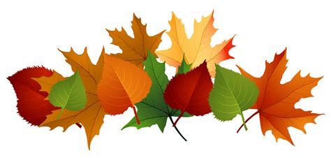 Free Fall Leaves Clip Art, Download Free Fall Leaves Clip Art png ...