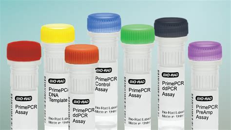 Image result for Bio PCR