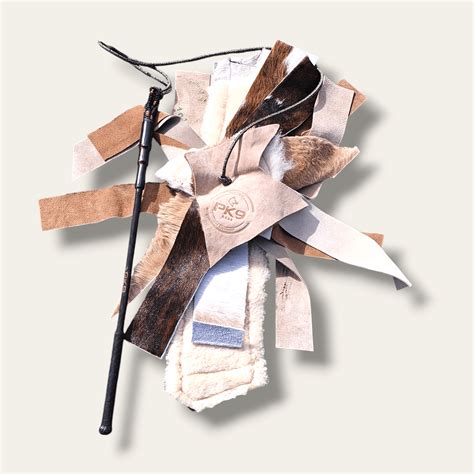 Home Right Dog Flirt Pole- The Ultimate Flirt Pole For Dogs