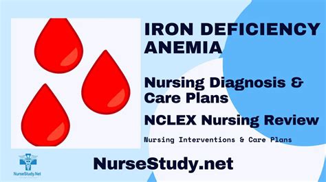 Iron Deficiency Anemia Nursing Diagnosis & Care Plan - NurseStudy.Net