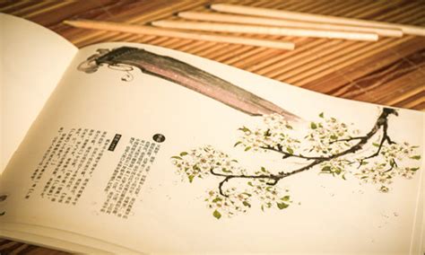 76句古代古诗词励志名言—查查吧深圳学区地图