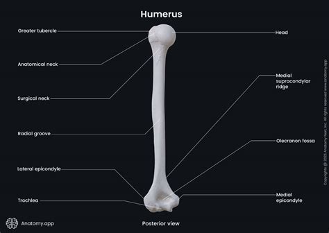 Image result for Geomap Python