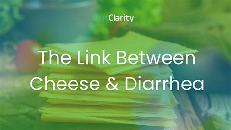 Cheese Cause Diarrhea? Your Questions Answered | Gut Clarity