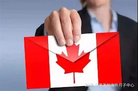 加拿大移民签证办理服务DM宣传单(A5)模板在线图片制作_Fotor懒设计