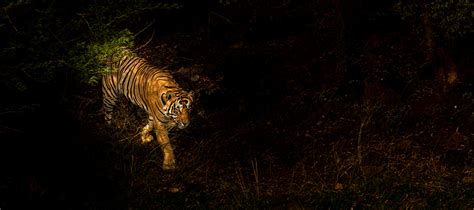 AMBIL SEKARANG