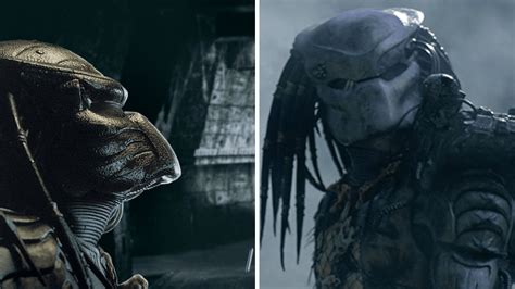 Image result for Alien vs Predator Face Off