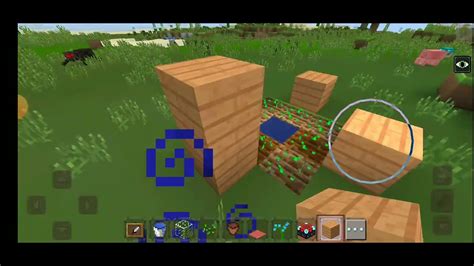 Image result for Eazy Java Farms