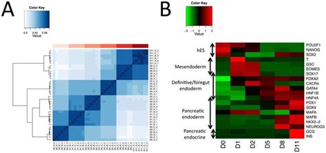 Transcriptome Analysis Image 的图像结果