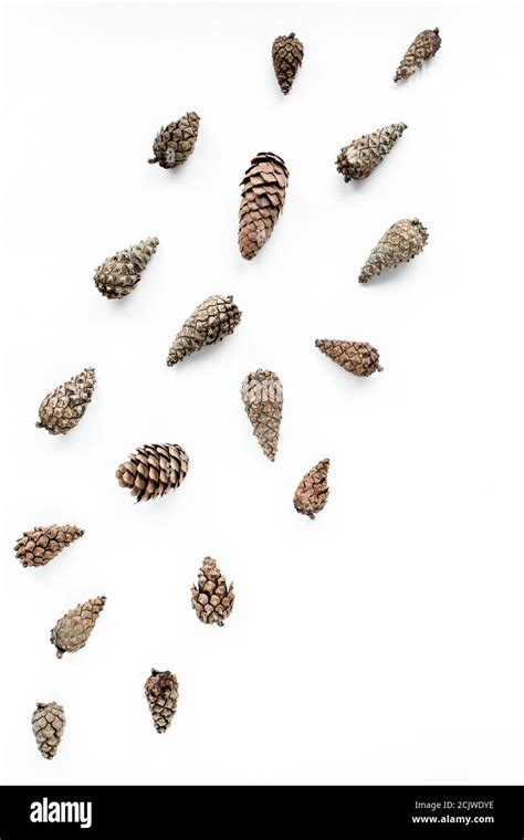 Image result for Cone Layout Flat Pattern