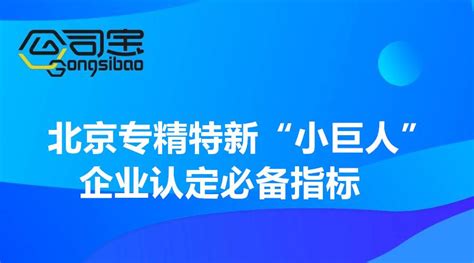 北京专精特新“小巨人”企业认定必备指标 - 知乎