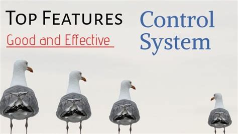 Image result for Essentials of Effective Control System