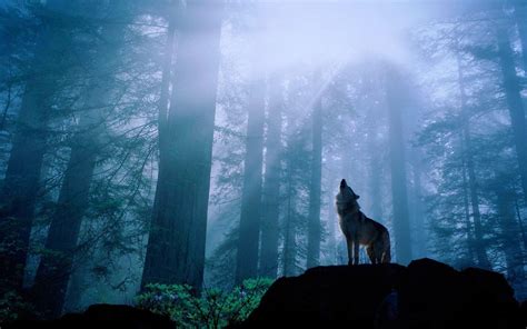 Image result for Coolest Wolves Howling
