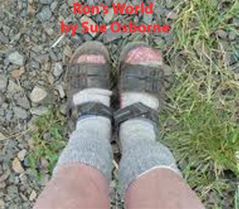 Ron's World eBook : Osborne, Sue: Amazon.in: Kindle Store