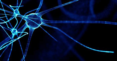 Image result for Difference Between Supervised Unsupervised and Reinforcement