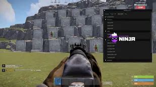 Rust ESP Hack 的图像结果