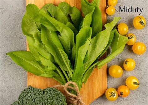 Vitamin E Daily Requirement: Dosage and Tips to Increase - Miduty