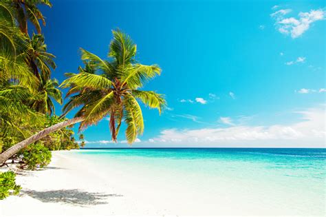 Image result for Beach Python Code