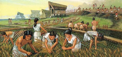 Agriculture Revolution 的图像结果