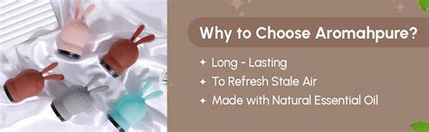 Aromahpure Hunny Bunny Luxury Car Perfume for Dashboard - Musk ...