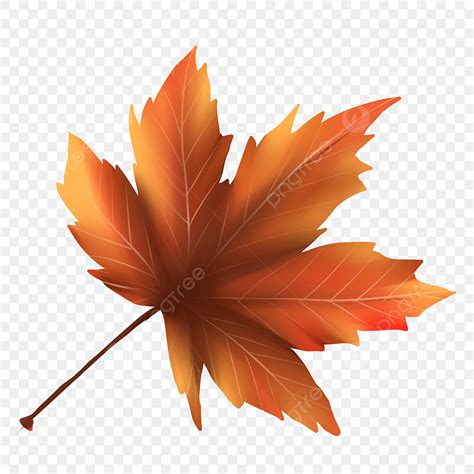 Fall Leaves Clip Art 7 Places To Find Free Fall Leaves Clip Art Images